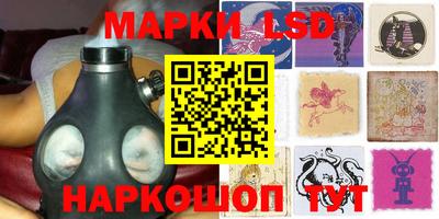 стафф Новозыбков