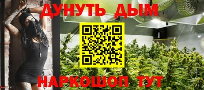 МДПВ Новодвинск