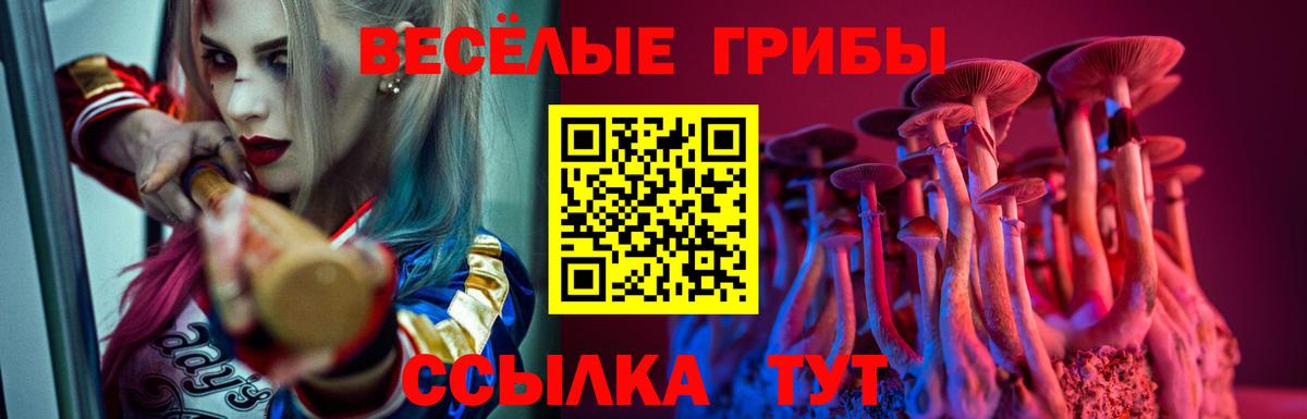 Южно-Сахалинск  Галлюциногенные грибы прущие грибы  Вход с VPN 